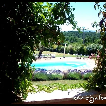 Lou-cigalou *